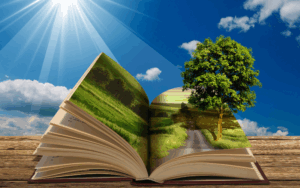 educacion ambiental