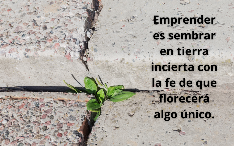 emprender 1