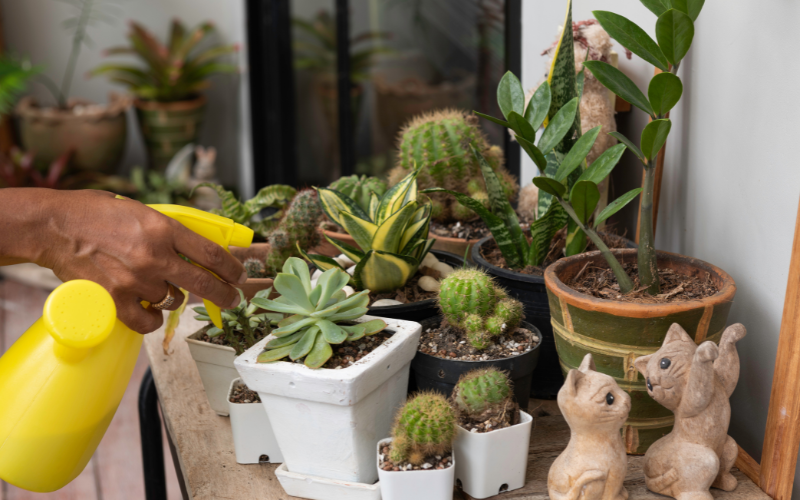 pequenos espacios verdes